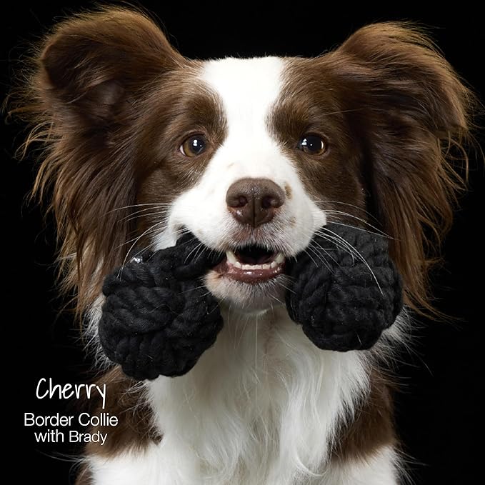 Pet Passion Brady The Rope Tug Toy 3-Pack Organic Cotton Dog Rope Pull Toys for All Pet Breeds, Blue Ombre, One Size