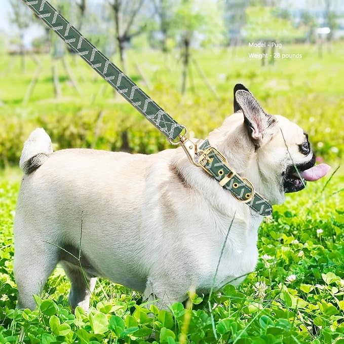 Leather Dog Collar and Leash Set, Check Pattern Dog Collar Leashes Metal Buckle Adjustable Durable for Small Medium Large Dogs (Green, S(11.4-13.4IN))
