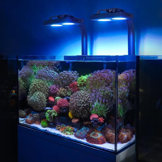 NICREW HyperReef 150 Gen 2 Reef LED Light, 150W Reef Aquarium Lighting for SPS LPS Corals and Saltwater Fish Tanks, Enhanced Violet and Blue Spectrum, Wide Angle Lens, 5 Channels Fully Programmable