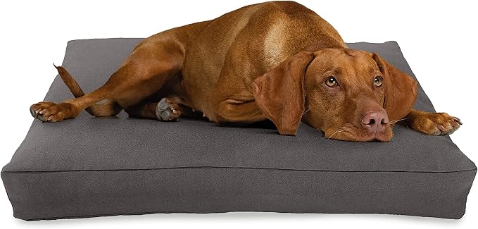 Small - 30 x 20 x 4 - Shadow Gray Premium Organic Hemp Dog Bed - CertiPUR Fill - Removeable Cover