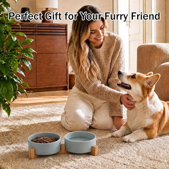 MateeyLife Ceramic Dog and Cat Bowls with Stand, 2-Pack Food and Water Bowl Set - Non-Slip Pet Bowls for Cats,Puppies and Small Dogs, 13.5OZ（Green）