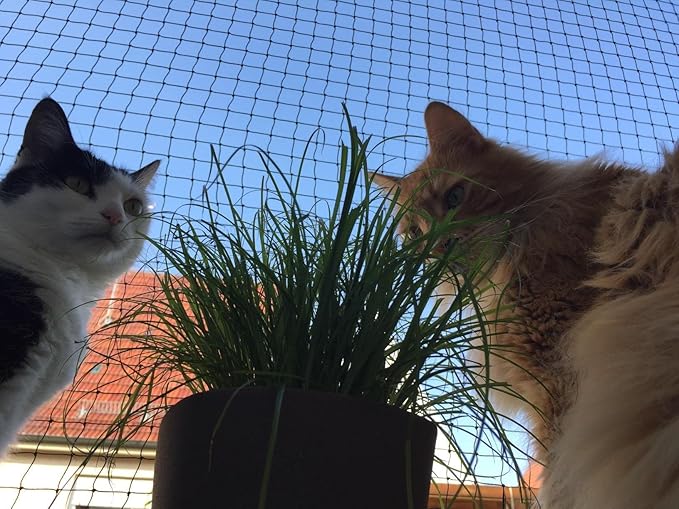 Cat Netting Balcony 10 * 26ft Pet Mesh Fence for Balcony Black Nylon Balcony Netting for Pets Anti-Fall Cat Net for Balcony and Windows