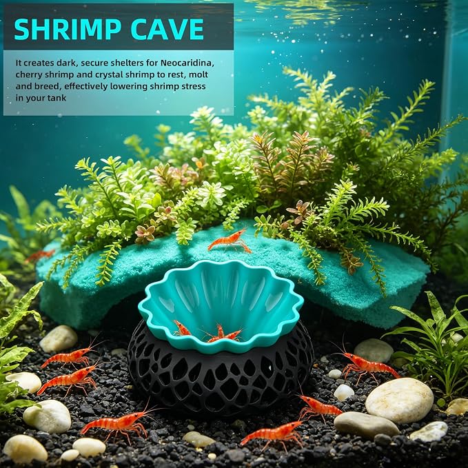 2-Pack Round Shrimp Cave, Plant Mountable Aquarium Hide | Sturdy PLA shrimp cave for moss & fern aquascapes; multi-position mount, aquarium safe for Neocaridina, Cherry & Dwarf Shrimp