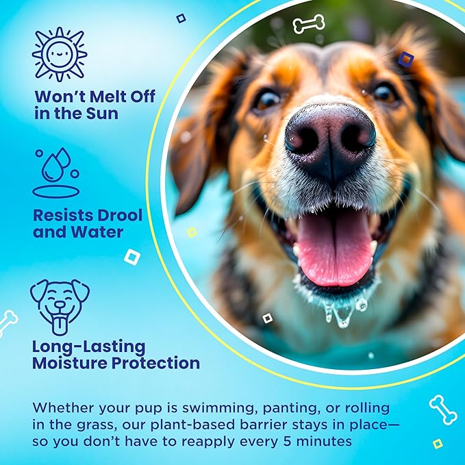 Handy Hound SnoutScreen Dog Nose Balm and Paw Balm, Moisturizing Formula for Dry or Cracked Noses, Vet Recommended, Made in USA, Protects Against UVB and UVC Rays, 1 oz