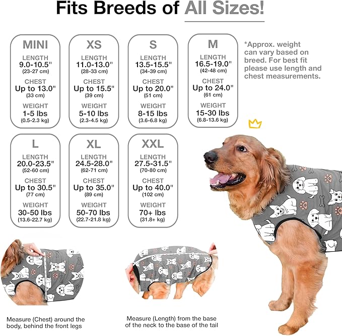 BellyGuard Dog Surgery Recovery Suit, Dog Onesie for Post-Op Care, Recovery Apparel for Female and Male, Surgical Body Cover for Canine Healing Support