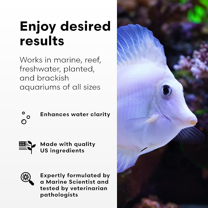 Brightwell Aquatics RedoxIclean Aquarium Waste Cleaner Formula 250ml