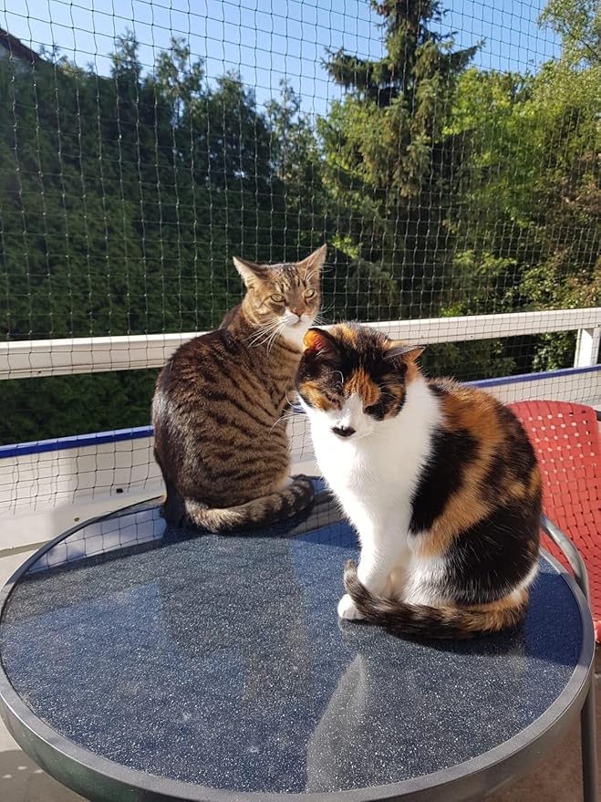 Cat Netting Balcony 10 * 13ft Pet Mesh Fence for Balcony Black Nylon Balcony Netting for Pets Anti-Fall Cat Net for Balcony and Windows