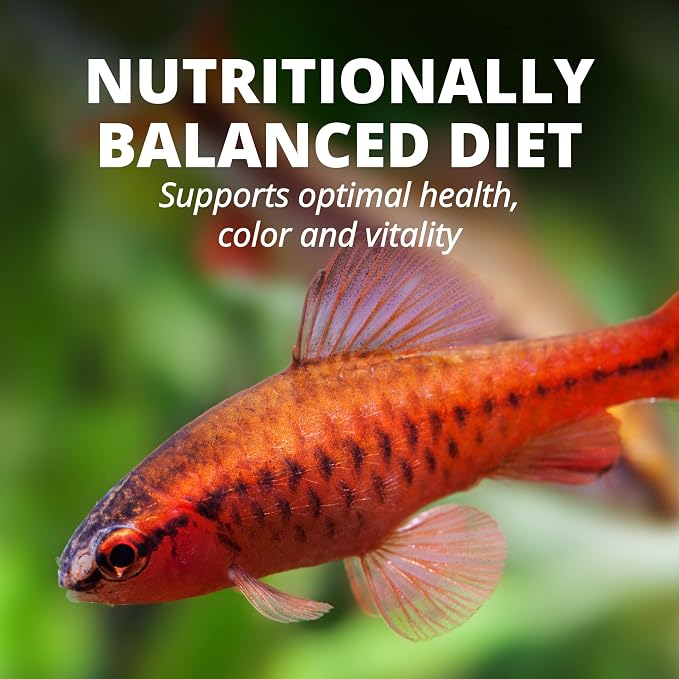 TetraColor Tropical Flakes, Color Boosting Fish Food, Nutritionally Balanced Diet for Tropical Fish, 2.2 lbs