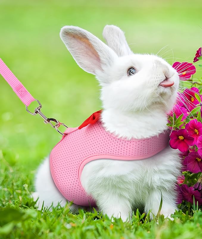 2 Pack Adjustable Bunny Rabbit Harness and Leash Set Breathable Mesh Vest Harness for Rabbits Kitten Ferret Puppy Small Pets Walking Supplies-Grey&Pink,S