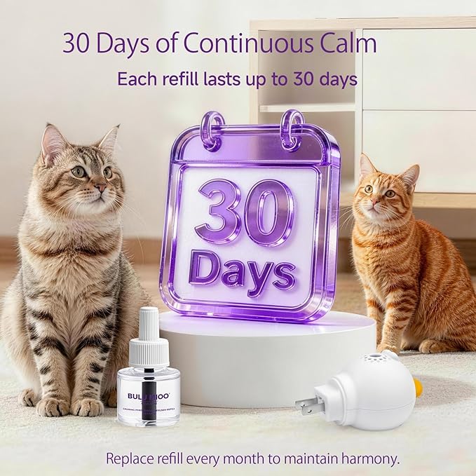 Cat Calming Pheromone Diffuser Set (120-Day Supply) – 2 Diffusers + 4 x 48ml Refills – Helps Reduce Urine Spraying, Scratching & Fighting – Unscented Stress Relief for Multi-Cat Homes