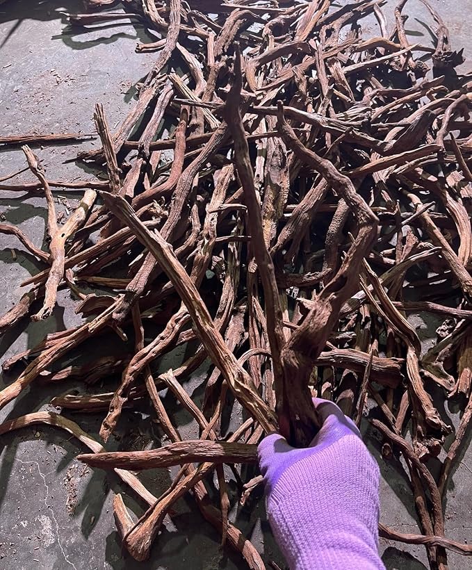 AWXZOM Aquarium Driftwood Branches,2.2lb 9-14inch Long Driftwood for Aquarium Reptile Driftwood Branches Log Natural Driftwood for Aquarium Reptile Branches