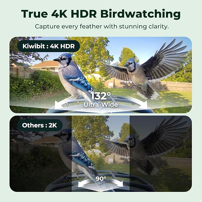 Kiwibit Smart Bird Feeder with Camera, Solar Powered for Outdoors, Bird Species AI Identification, 8MP Photo, 4K Video Livestream, Real-Time Bird Alert, Birdwatching Gifts for Bird Lovers, Bluejay Sky