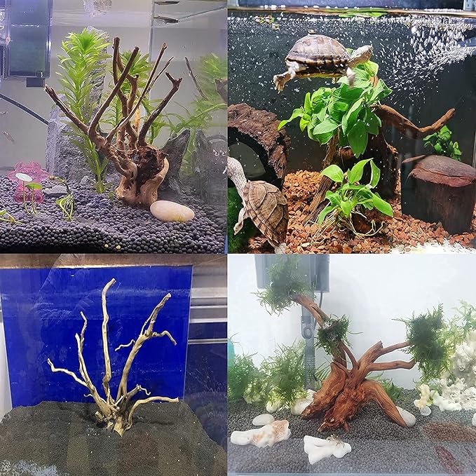 kathson Aquarium Driftwood Reptile Branches Wood Natural Spiderwood Driftwood for Aquarium 5-6" 7 Pcs Terrarium Ornament Trunk Fish Tank Log Habitat Decoration Tree Stump Decor Assorted Sizes Wood
