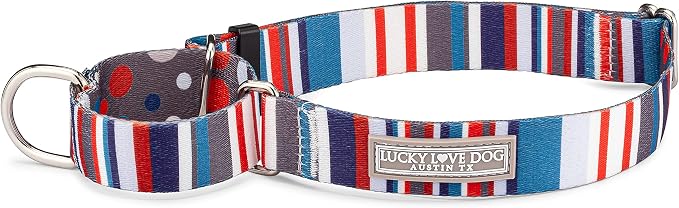 Lucky Love Dog - Adjustable Dog Collar with Easy Click Buckle for Medium, Durable, & Comfortable for Male & Female Dogs, Pet Collar for Puppies & Adult Dogs - Linus Martingale, Medium