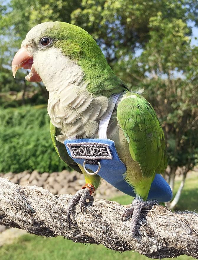 Bird Clothes Parrot Diapers Flight Suits, Reusable Waterproof Diapers for Pet Birds (2XL)