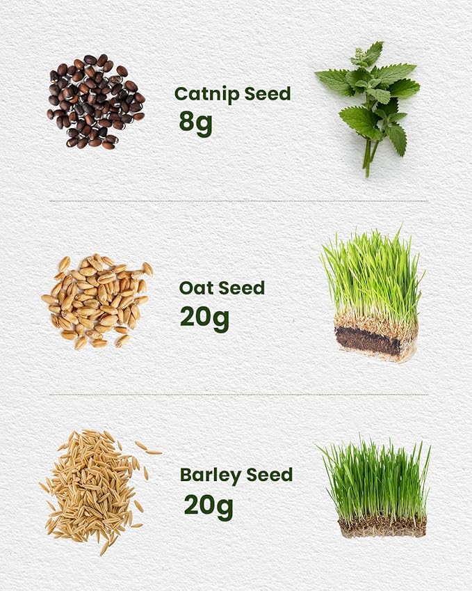 Cat Grass & Catnip Seeds Kit - Fast Growing Indoor Cat Grass (3-7 Days),Wheat Oat Barley Pet Grass for Hairball Control & Digestive Health