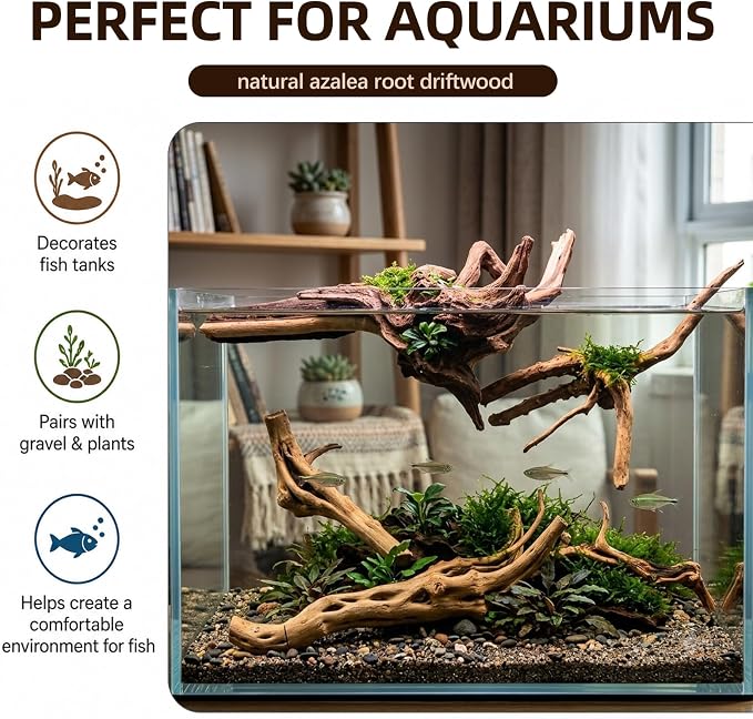 Vmiapxo miapxo 5-Pack Natural Driftwood, Sinkable Spider Wood (6''-8'') | Assorted Shapes Drift Wood, Aquarium Decor, Reptile Terrarium & Fish Tank Wood Branches Decoration