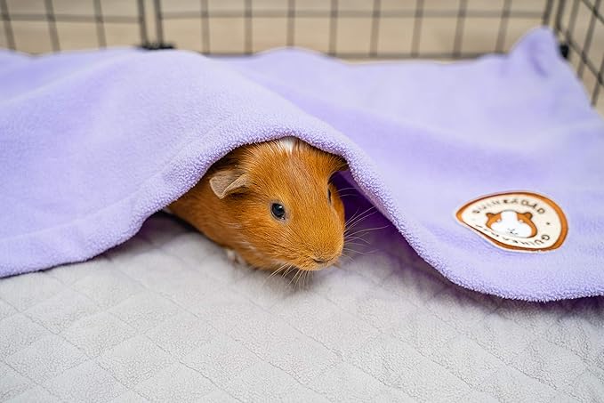 GuineaDad Original Reusable Cage Liner – Purple Fleece Bedding with Burrowing Pocket – Extra Absorbent Core & Waterproof Bottom – Fits C&C 2x4 Guinea Pig Cages – Small Animal Supplies