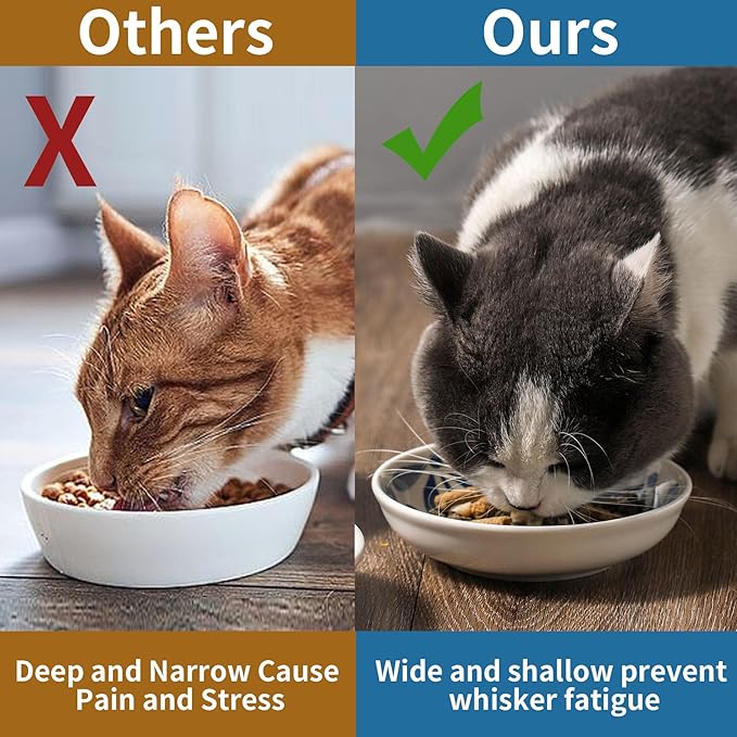 3 Ceramic Cat Bowls,5.5 inch Wide Shallow Cat Food Bowl for Relief Whisker Fatigue