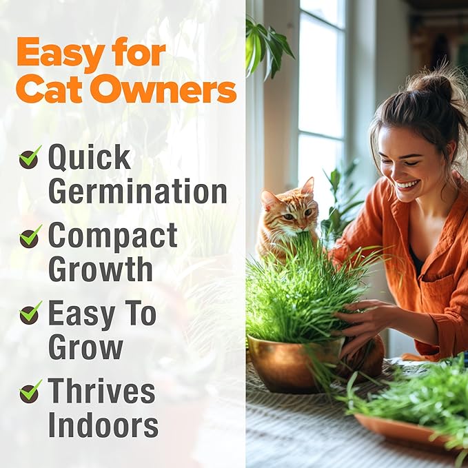 HOME GROWN Cat Grass Seed Mix – Non-GMO Oat, Alfalfa, Rye & Wheat Seeds for Cats | Indoor Pet Grass with Fast Germination | Digestive Aid, Hairball Relief & Safe Chew Alternative