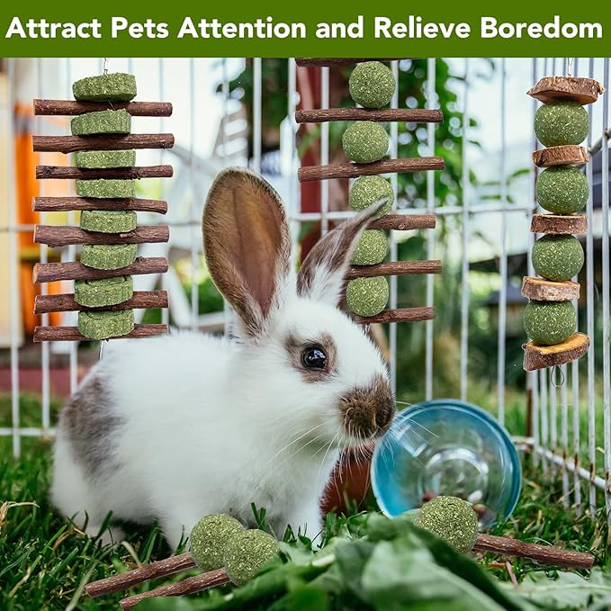 Jorewood 3 Pcs Bunny Chew Toys with 3 Pcs Rabbit Chew Lollipop for Teeth Grinding, Improve Dental Health, Treats for Rabbits Guinea Pigs Chinchillas Bunnies Hamsters