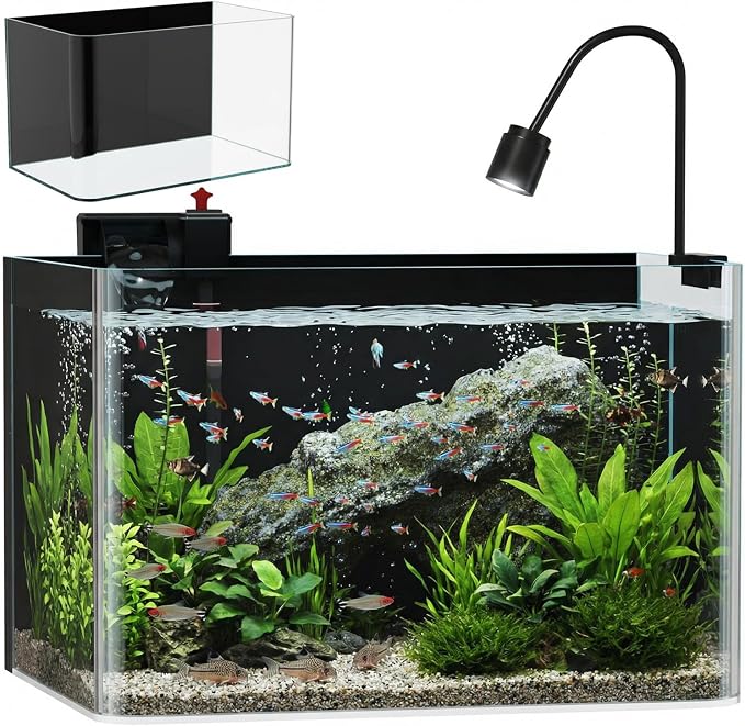 10 Gallon Hot-Bent Black-Back Fish Tank, Aquarium Fish Tank,Easy to Maintain Small Aquarium for Betta/Goldfish/Snails/Shrimp and Aquatic Planting, Perfect for Home, Office, and Decor
