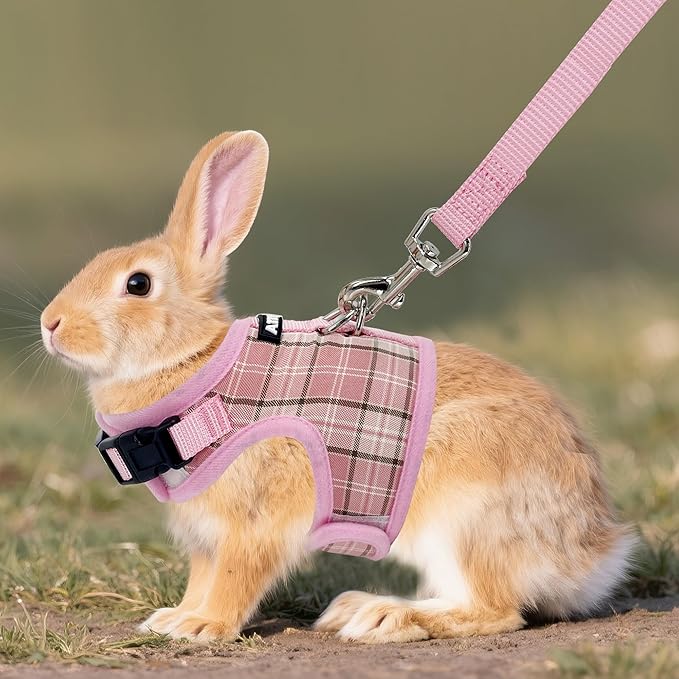 AIITLE Bunny Harness and Leash Set Escape Proof - Magic Tape Design, Lightweight Plaid Pattern Mesh Padding, No Choke No Pull for Puppy Cat Rat Squirrel Ferret, Outdoor Walking Running, Pink S