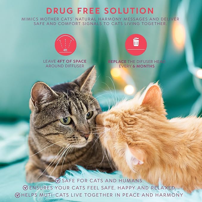Cat Calming Pheromone Diffuser Plug-in – Feline Pheromones for Home Comfort, Helps Reduce Spraying, Scratching, Fighting & Excessive Meowing (Mint)