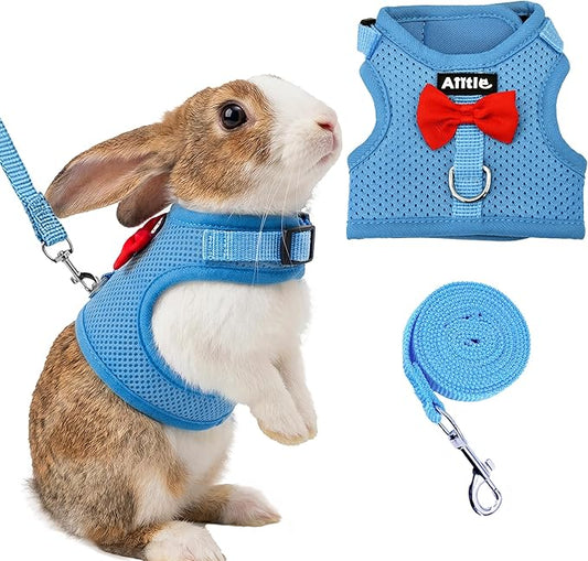 AIITLE Bunny Harness and Leash Set with Cute Bow, Soft Breathable Mesh Vest Harness for Rabbits Kitten Ferret Small Pig Puppy Walking Supplies Blue M