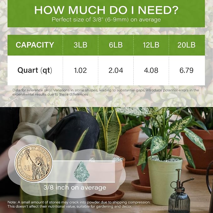 NUPICK 6lb Green Zeolite for Plants, 3/8" Gravel for Cactus | Natural Succulent Potting Soil Amendments, Decorative Bonsai Gritty Rock, Pebbles Pumice for Vase Fillers, Top Dressing