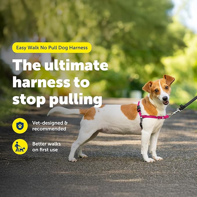 PetSafe Easy Walk No-Pull Dog Harness - The Ultimate Harness to Help Stop Pulling - Take Control & Teach Better Leash Manners - Helps Prevent Pets Pulling on Walks, Small, Raspberry/Gray