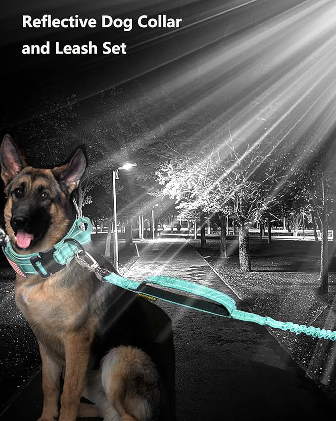 AUBELL Tactical Dog Collar and Leash Set, Reflective Adjustable Heavy Duty Military K9 Collars with Handle and Metal Buckle for Extra Large Dogs, with Airtag Case and 2 Patches(Teal,XL)