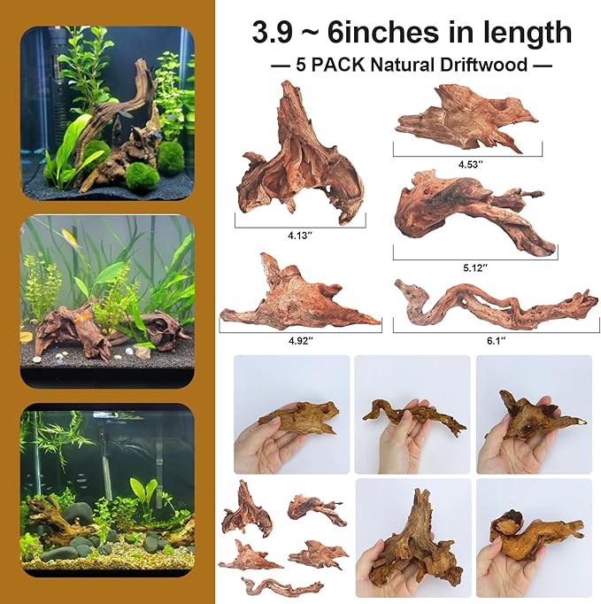 Natural Driftwood Decor for Aquarium Decorations Reptile Tank Accessories, Assorted Wood Branches Decorations on Reptile Fish Tank 2-10" 2 Pcs/4 Pcs/ 5 Pcs/ 6 Pcs (Pack of 5 (3.9 to 6 Inch))