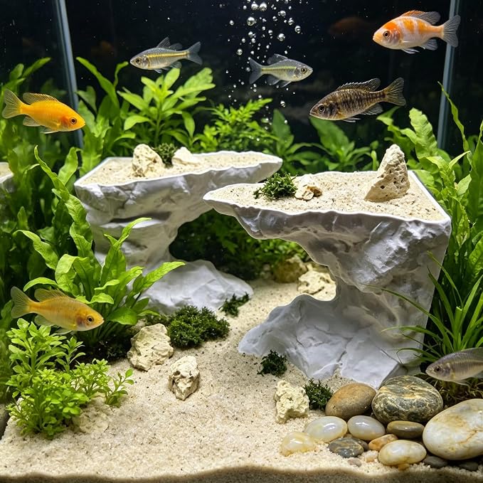 Saim Aquarium Underground Cave with Viewing Ports, Substrate-Friendly Under Gravel Tunnel Hideout, Natural Curve Corner Decor for Pleco, Shrimp, Corydoras & Kuhli Loach (Medium)