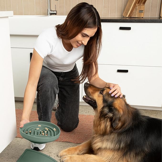 Should We Go? Slow Feeder for Dogs & Puppies, The Slowdown Bowl Silicone Slow Eating, Modern Lick Mat Design, Reduces Gulping, Fits 2.5 Cups, 9.5” Across x 1.5” Tall, Mealtime Challenge, Large-Spruce