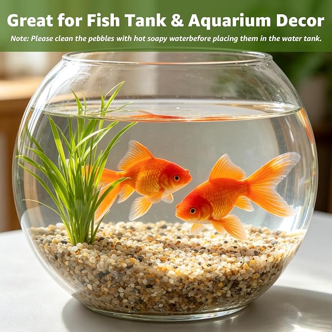2 lbs Aquarium Coarse Sand, 1/12'' Premium Gravel and Substrate | Water-Washed, Undyed, Uncoated, for Nano Tanks, Planted Layouts, Stream-Style Aquascapes, Vivariums, Terrariums, Plants