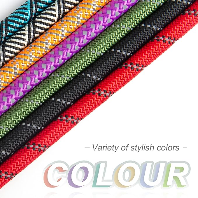 Fida Durable Slip Lead Dog Leash Bulk Pack of 5, Heavy Duty 1/2" x 6 FT Comfortable Strong Rope Slip Lead for Large, Medium & Small Dogs No Pulling Pet Training Leash with Highly Reflective (Green)