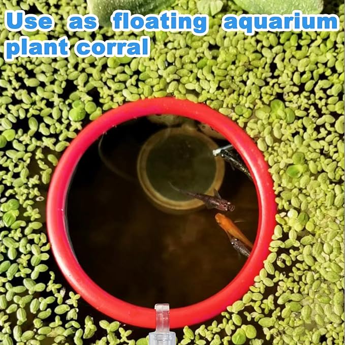 Betta Fish Toys - 4 Training Rings & 2 Bio Filter Balls, Beta Exercise Loop Toys and Nitrifying Balls Set, Betta Fish Tank Accessories Feeding Ring for Small Tank Decor Aquarium Water Conditioner