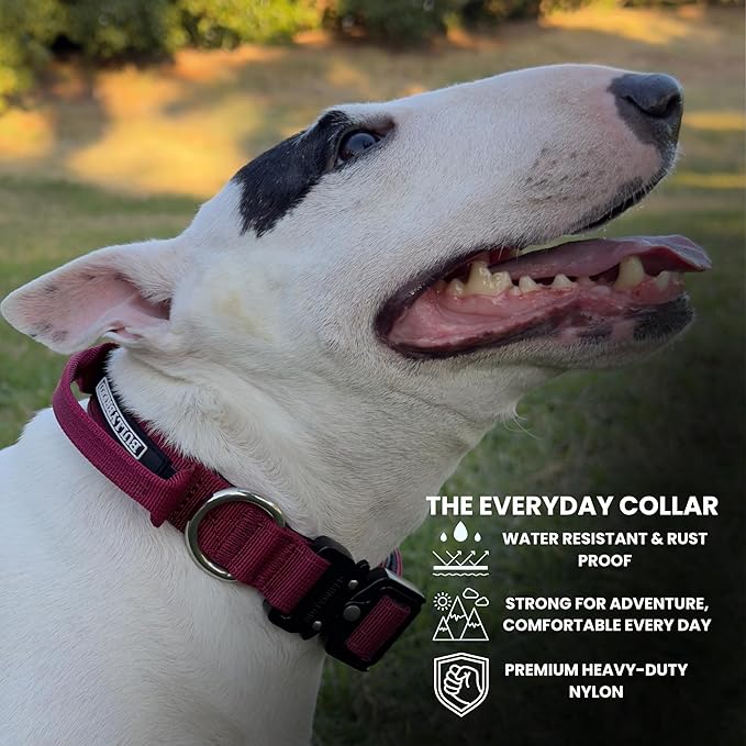 Tactical Dog Collar for Puppy, Heavy Duty Puppy Collar, Dog Collar for Small Dogs, Waterproof Dog Collar, Dog Training Collar, Quick-Release Buckle, Adjustable Sizes – BULLYBREED (Maroon Red, Small)