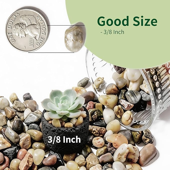 Small Rocks for Plants，3/8" Small Pebbles，1lbs Small River Rocks Decorative Pea Gravel，Pebbles for Indoor Plants, Vases, Bamboo, Succulent, Terrarium, Crafts, Cactus