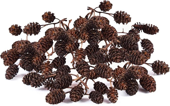 JOR Alder Cone Water Conditioner for Betta Fish, Creates Native Habitat, Relieves Stress, Serves As A Nursery and Food Source, Lowers Water pH, Can Be Used in Filter Or Freely in Aquarium, 60 pcs