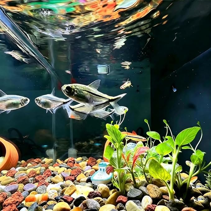 Aquarium Gravel, 10lbs Fish Tank Rocks, 0.4-1.2 inches | Aquascape Substrate for Turtle Tank, River Rocks, Safe for Aquariums, Terrariums