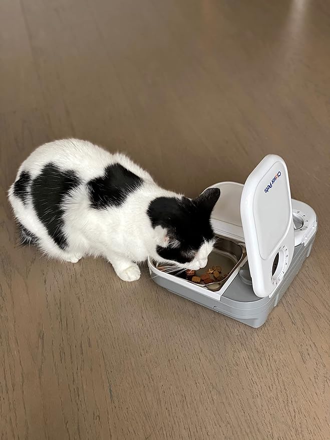 Closer Pets C200 2 Meal Timer-Controlled Automatic Pet Feeder - for Cats and Small Dogs, Wet or Dry Food, Stainless Steel Bowl Inserts and Ice Pack, up to 14 oz Each, White