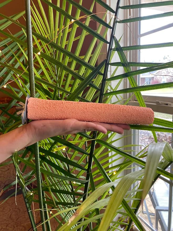 Polly's Pastels Nail Trimming & Beak Conditioning Safety Perch for Cockatiels, Cockatoos, Macaws, Parakeets, Budgies, Parrots and All Other Birds (Coral, Large-1 1/2" Dia. x 9" Long)