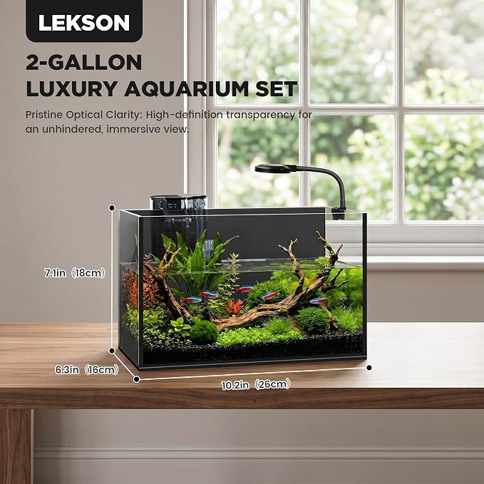 2 Gallon Small Fish Tank with Light and Filter Desktop Aquarium Starter Kit | Betta and Shrimp Habitat with Lid, Gravel, Plants and Tools; Beginner-Friendly Aquascaping for Bedrooms and Offices