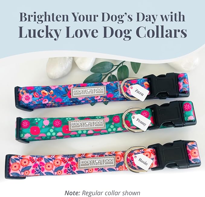 Lucky Love Dog Martingale Dog Collar & Leash - Adjustable, No-Slip, Durable, Comfortable, Soft Webbing, & Stylish Patterned Collar & Leash Set for Male and Female Dogs - Rosie Combo, Medium