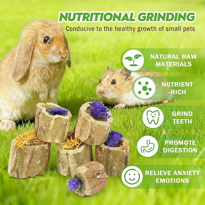 3.5oz Rabbit Chew Toys for Teeth，Bunny Papaya Wood Chew Toys Guinea Pig Treats with Apple Stick for Rabbits Guinea Pigs Hamsters Chinchillas Gerbils Prevent Teeth Overgrowth (3.5 oz, Flower)