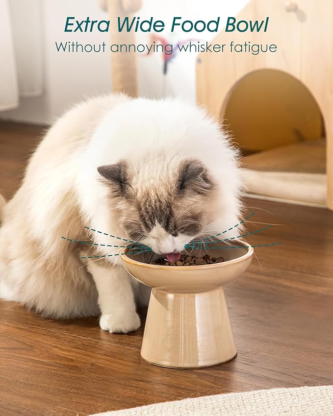 vancasso Elevated Cat Food Bowls 2-Pack, 6.2" Wide Shallow Cat Feeding Bowl for Whisker Fatigue, 5.1" Height Ceramic Raised Food Bowls for Senior Cats, Anti Vomit, Brown
