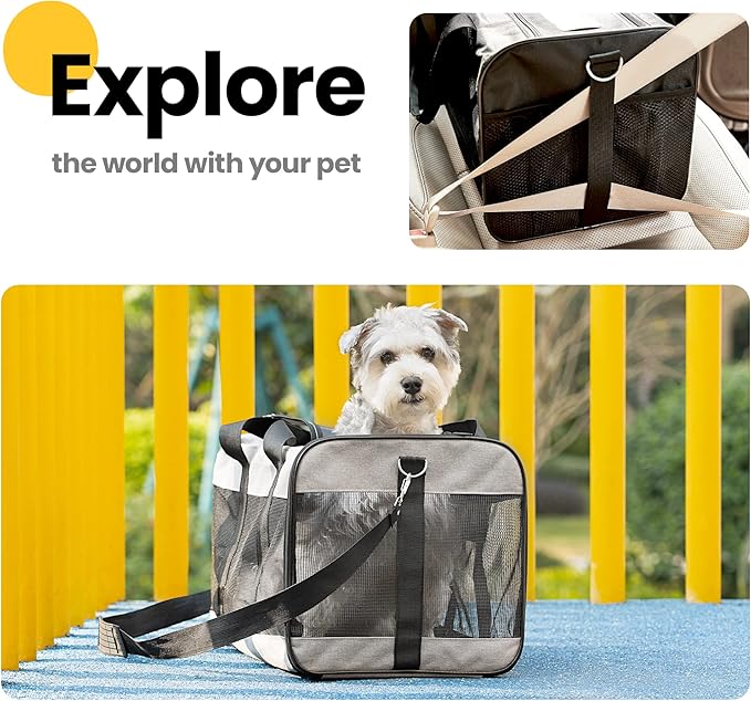 Conlun Dog Carrier Soft Sided, Large Cat Carrier with Inner Safety Leash, Pet Transport Carrier for Large Cats and Medium Dogs up to 20 Lbs, Collapsible Travel Puppy Carrier Bag -Blue L