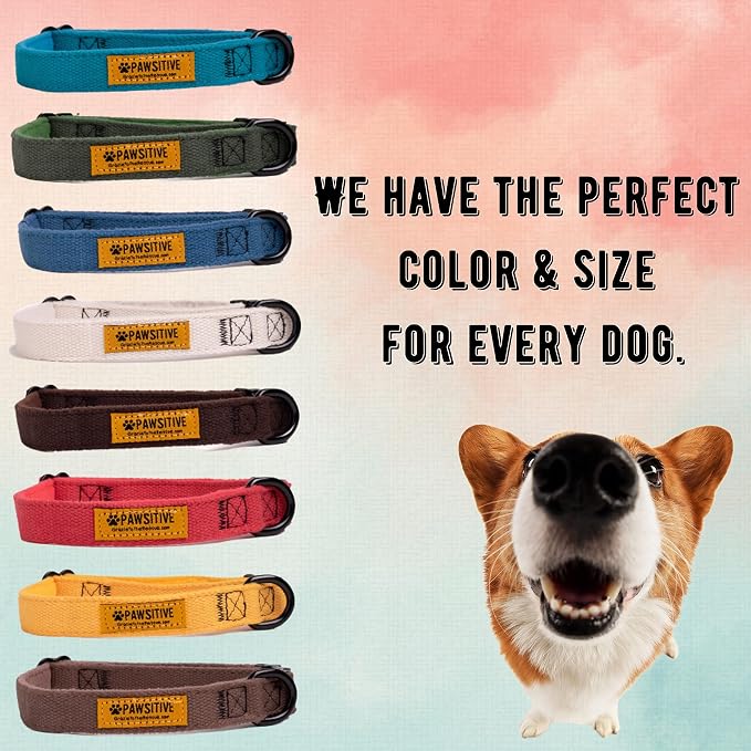 Pawsitive Teal Dog Collar Hemp Dog Collar - Super Soft Hypoallergenic Lining. Great for Small, Medium and Large Dogs; Small Emerald Green